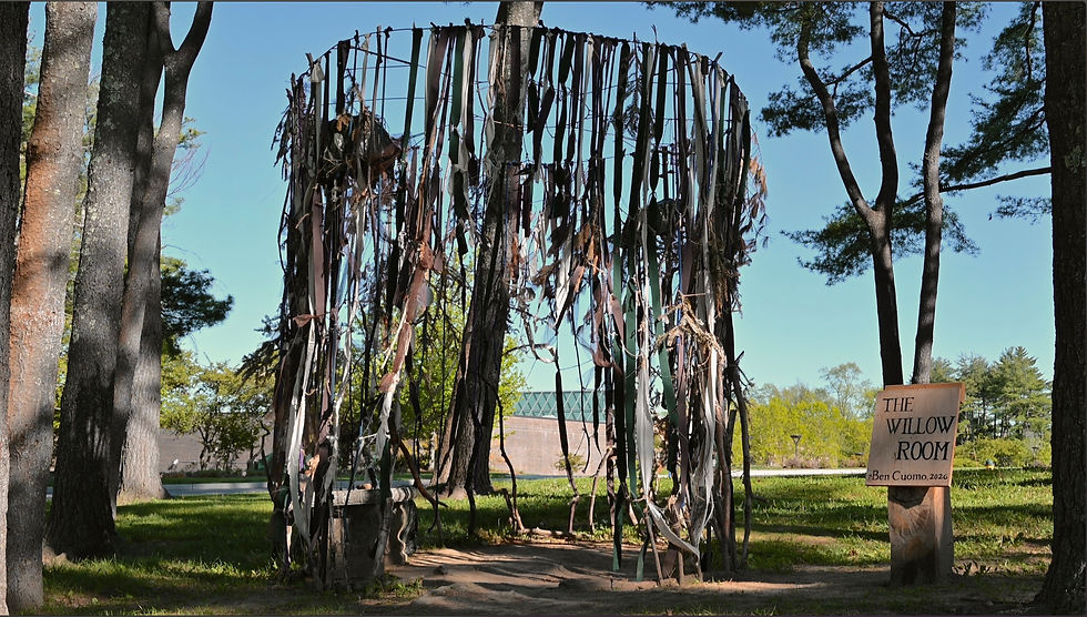 The completed Willow Room. Photo by Ben Cuomo