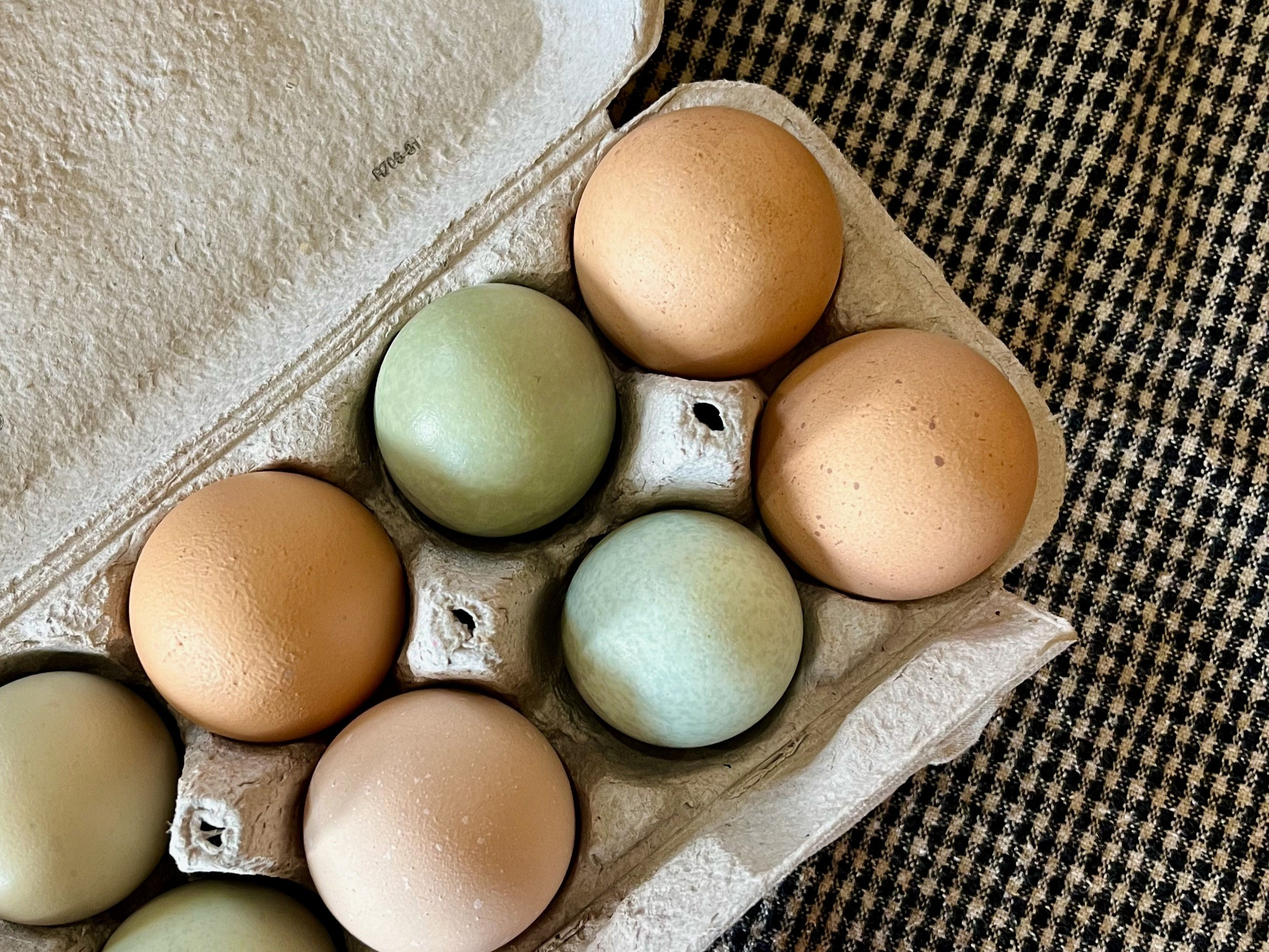 Farm eggs