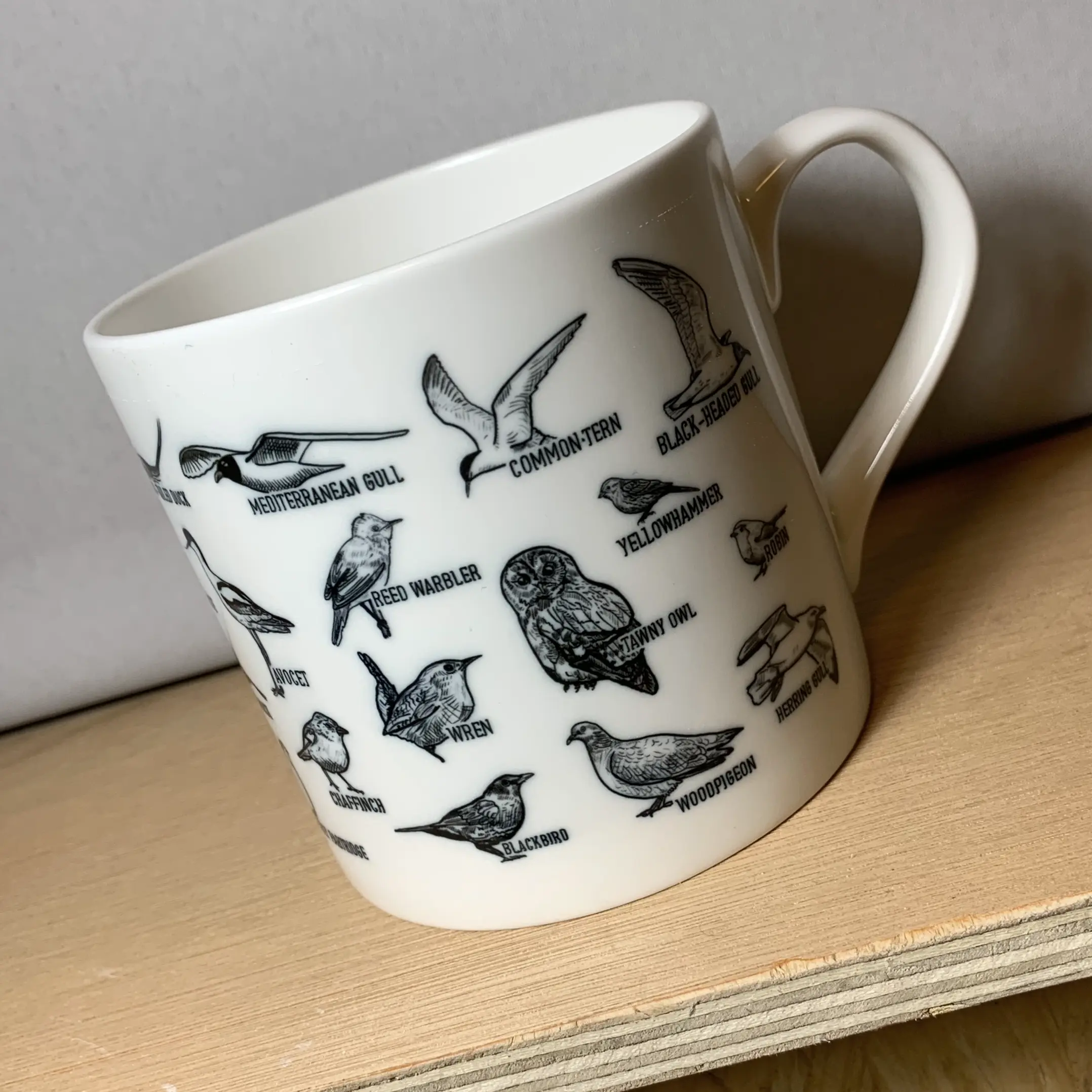 James Illustrates Norfolk Birds Bone China Mug