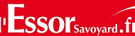 essor-1080x312.jpg
