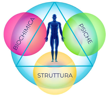 il Triangolo della salute