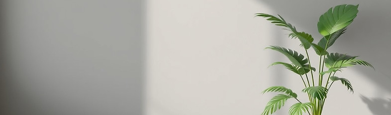 Simple gray wall with a tropical plant o