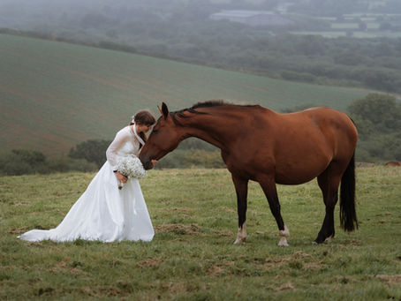 A Fun, Friendly Guide to Equestrian Weddings