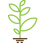 Plant Growth