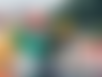 INDUSTRIES INVESTING SOLAR ENERGY AND SOLAR POWERED LIGHTS 