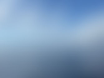 Dive Report – 08/15/2025