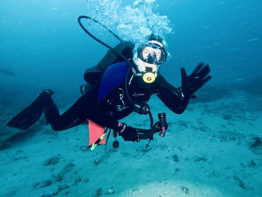 Dive Report – 09/06/2025 (8:30 A.M.)