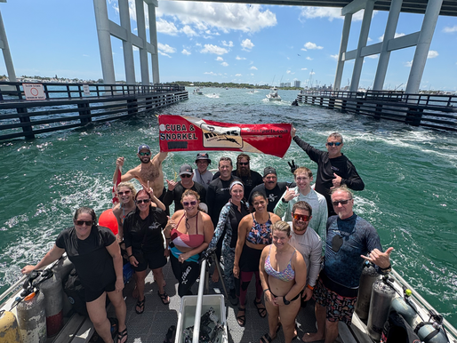 Dive Report – 09/14/2025 (8:30 P.M.)