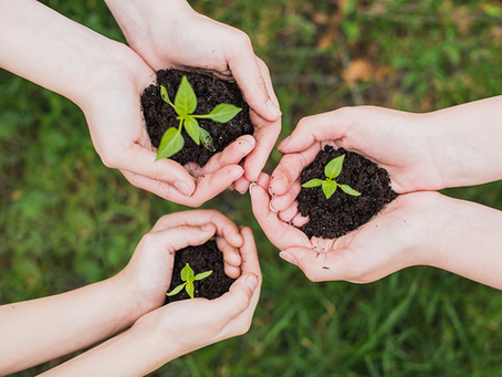 Acciones que debes tomar en cuenta para salvar el medio ambiente