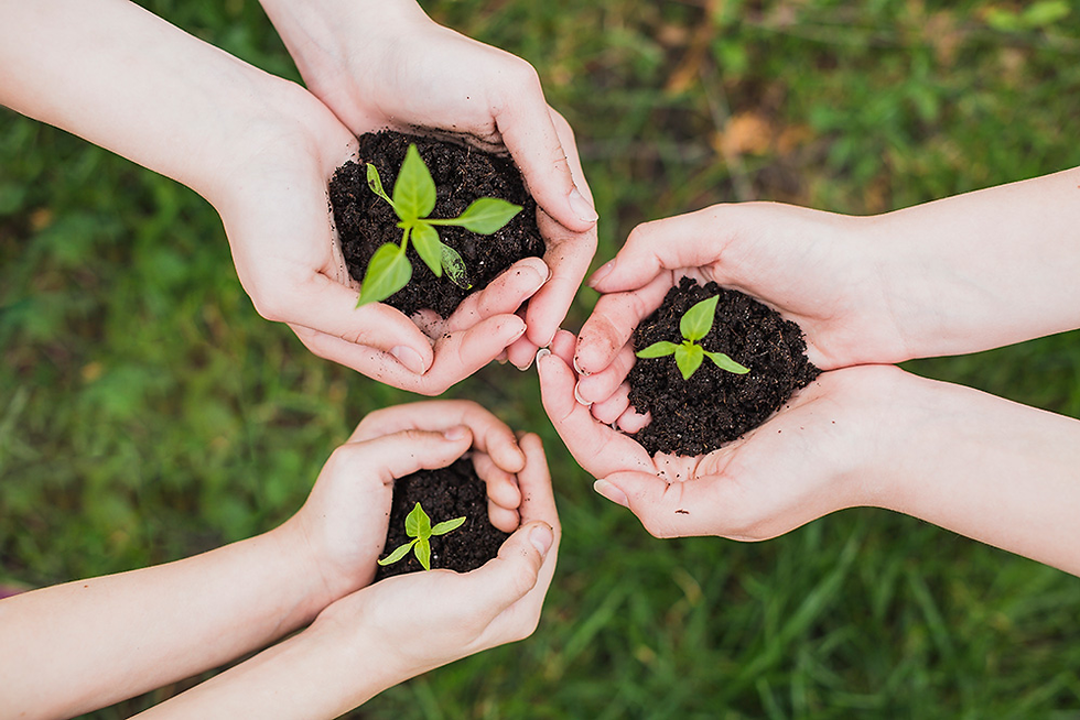 Acciones que debes tomar en cuenta para salvar el medio ambiente