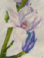 WATERCOLOR LILLY_2022.JPEG