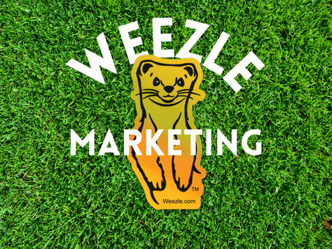 Unleashing the Power of Exceptional Marketing & Website Design : Your Search Ends Here! Weezle it!