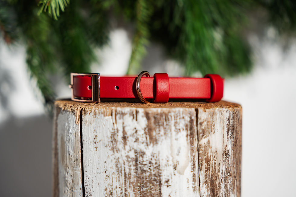 Miniatura: OBROŻA NA SPRZĄCZKĘ BIOTHANE® - RUBY