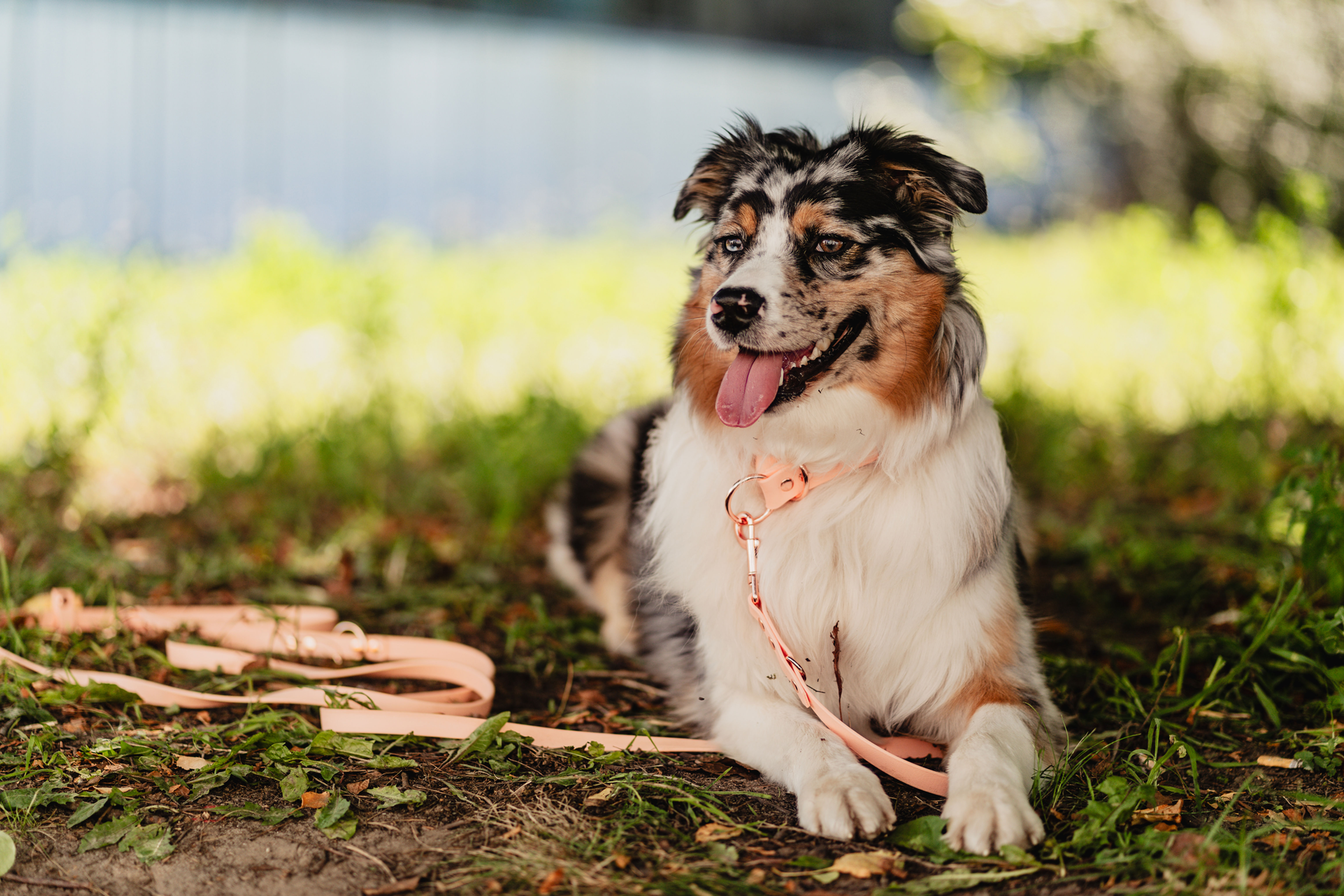 SMYCZ MIEJSKA BioThane® - PEACH