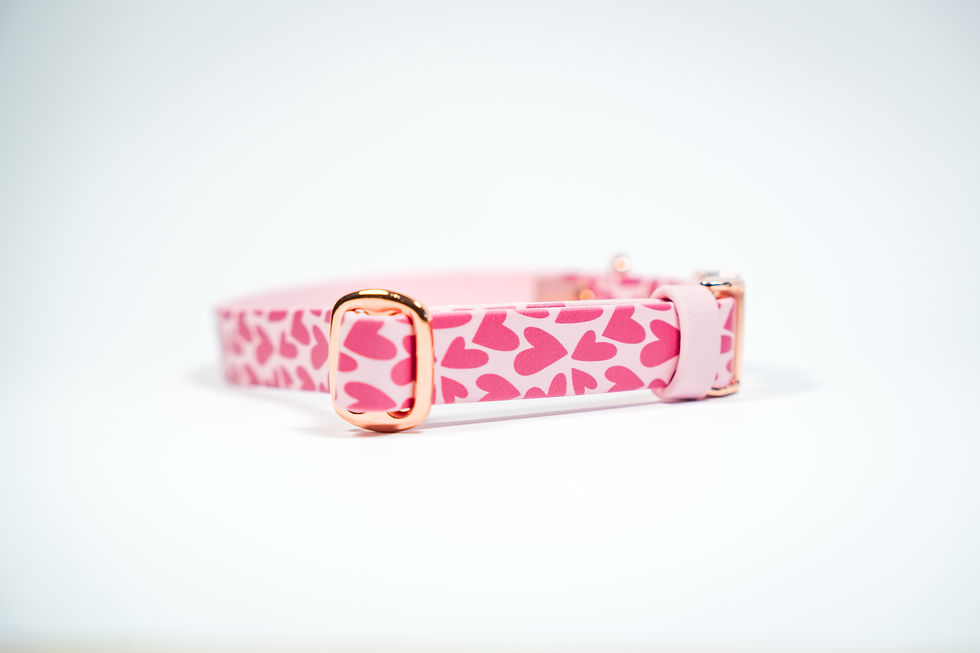 Miniatura: OBROŻA NA KLAMRĘ BioThane® - Be My Valentine