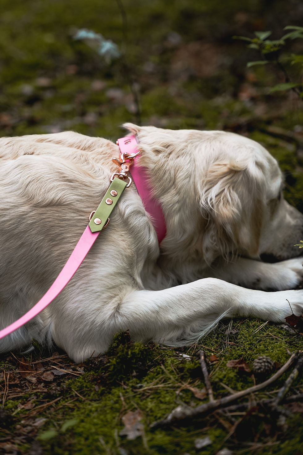 Miniatura: SMYCZ PRZEPINANA BioThane® DWUKOLOROWA