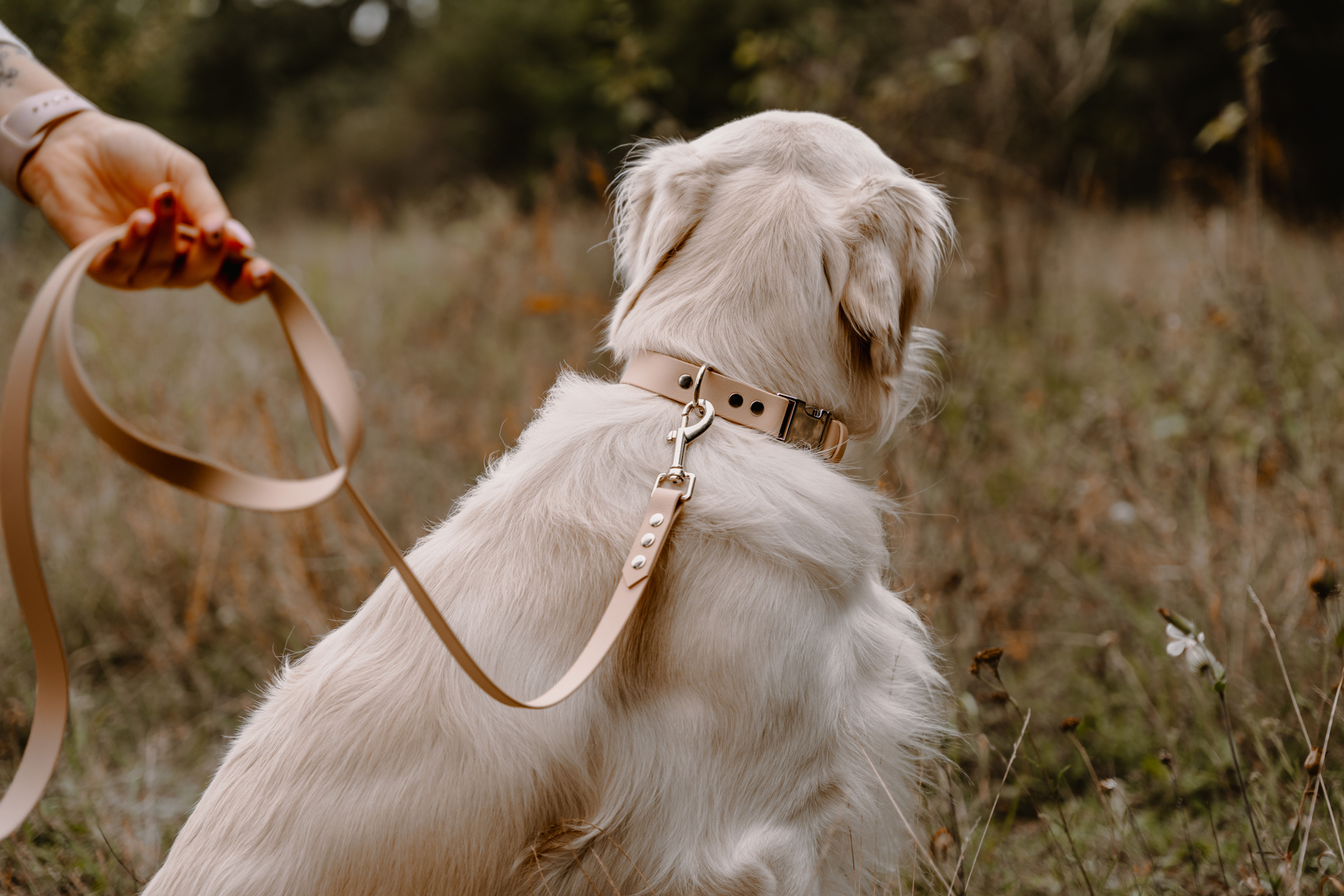 SMYCZ MIEJSKA BioThane® - OATMEAL