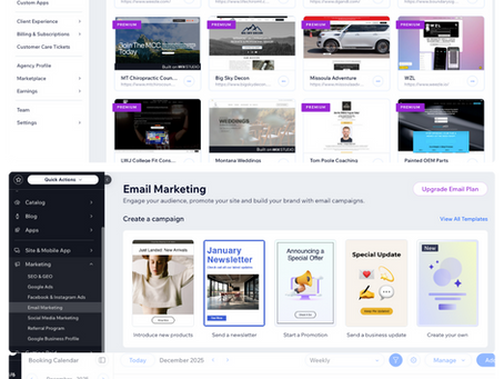 Case Study Examples and Selling Scenarios