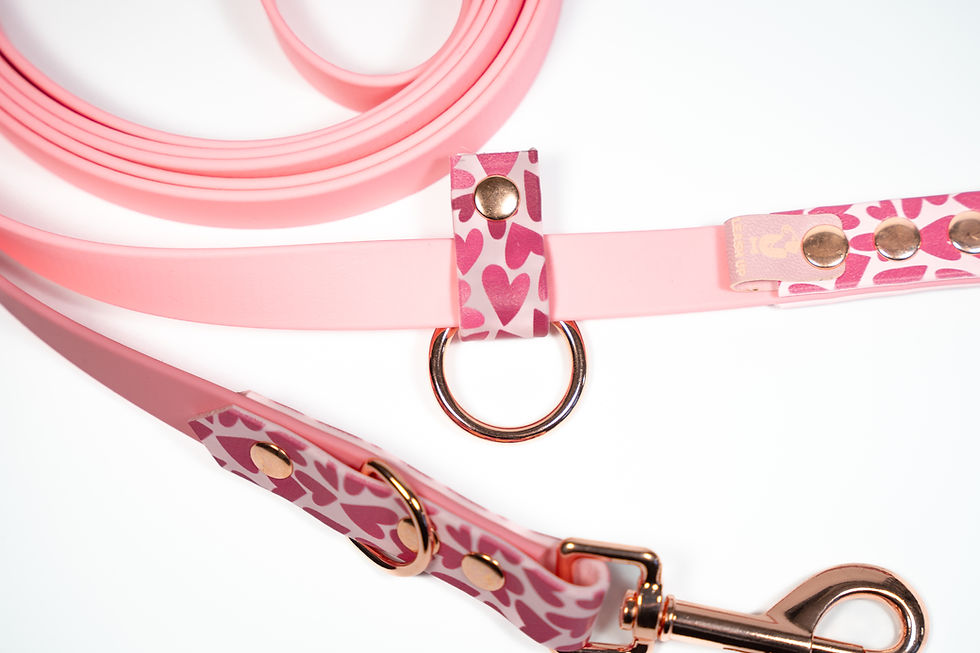 Miniatura: SMYCZ PRZEPINANA BioThane® - Be My Valentine