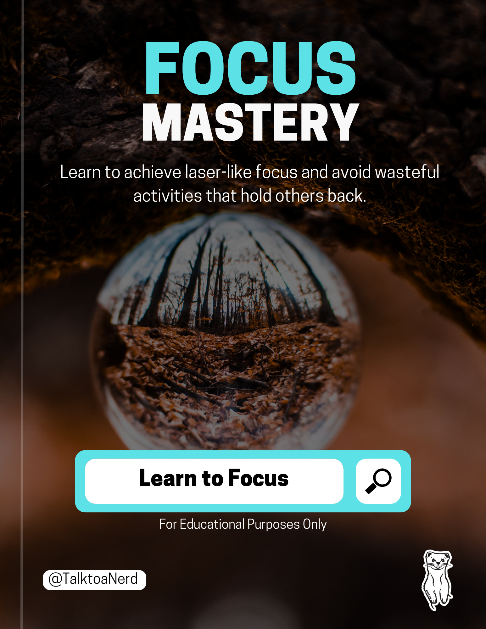 Focus Mastery with TalktoaNerd.com