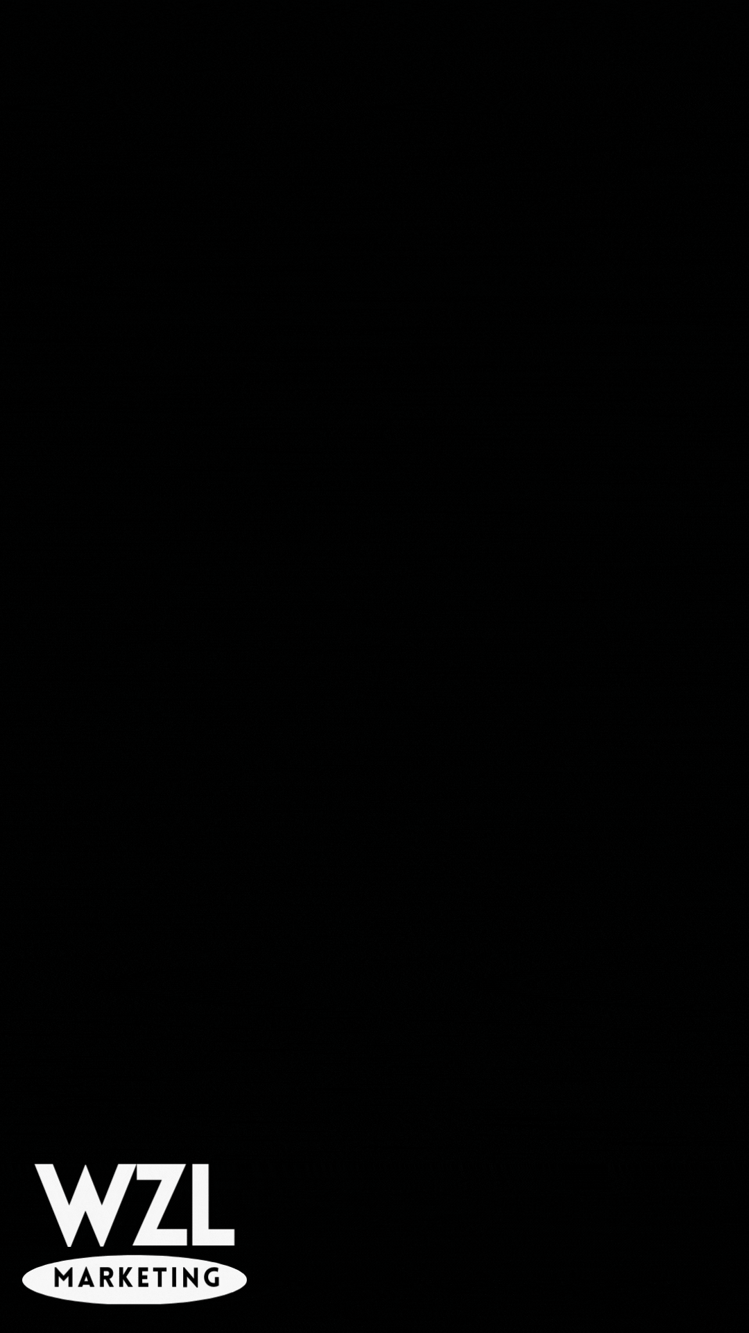 dvdloadingweezle