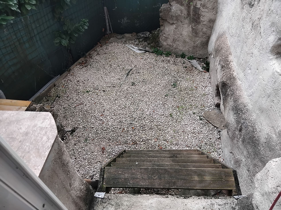 cour avant travaux