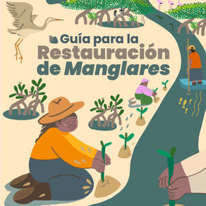 Guía para la Restauración de Manglares