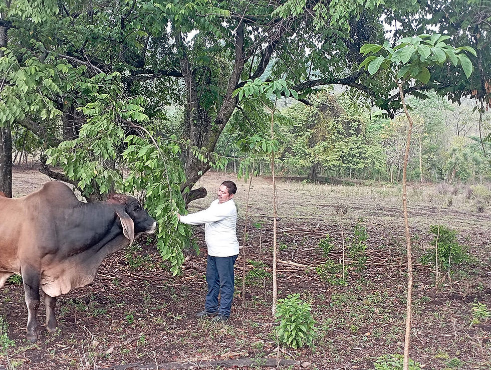 Ganadería Biodiversa y Resiliente al Cambio Climático