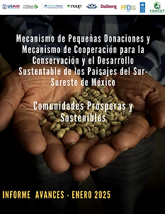PORTADA informe CPS.png