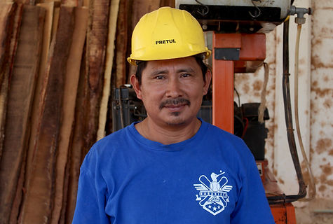 1.5_proyecto_forestal_ppd_mexico.jpg