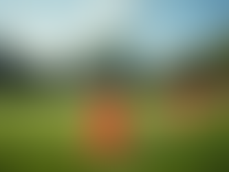 Youth Soccer Development Programs for Skill Growth