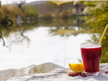 חופשה מרעלים: תהליך ניקוי שלם 4-6/5