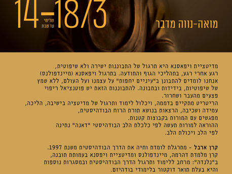 ריטריט ויפסנא בשתיקה 14-18/3