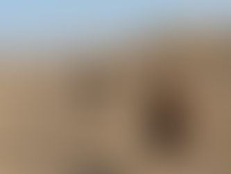 סדנת יוגה בערבה עם תמר עדי 19-21/1