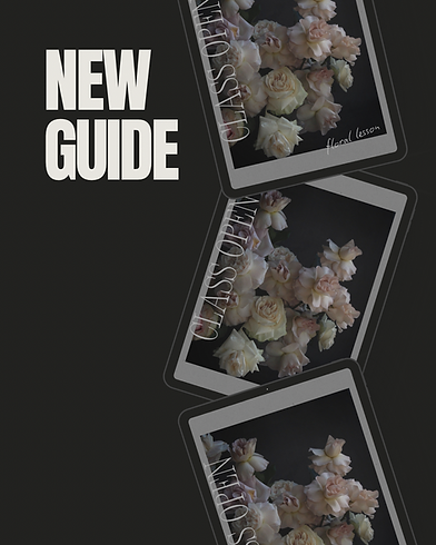 Beige and Black Modern Mockup Collage Marketing Guide Business Instagram Post.PNG