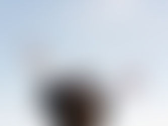 Od edukacije do sertifikata psihoterapeuta