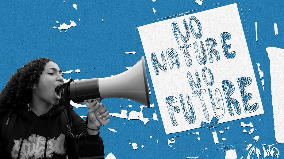 Echoing for the Eco (1).png