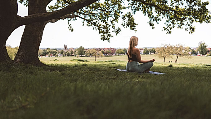 Meditación bajo un árbol
