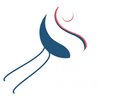 logo fond transparent 1.png