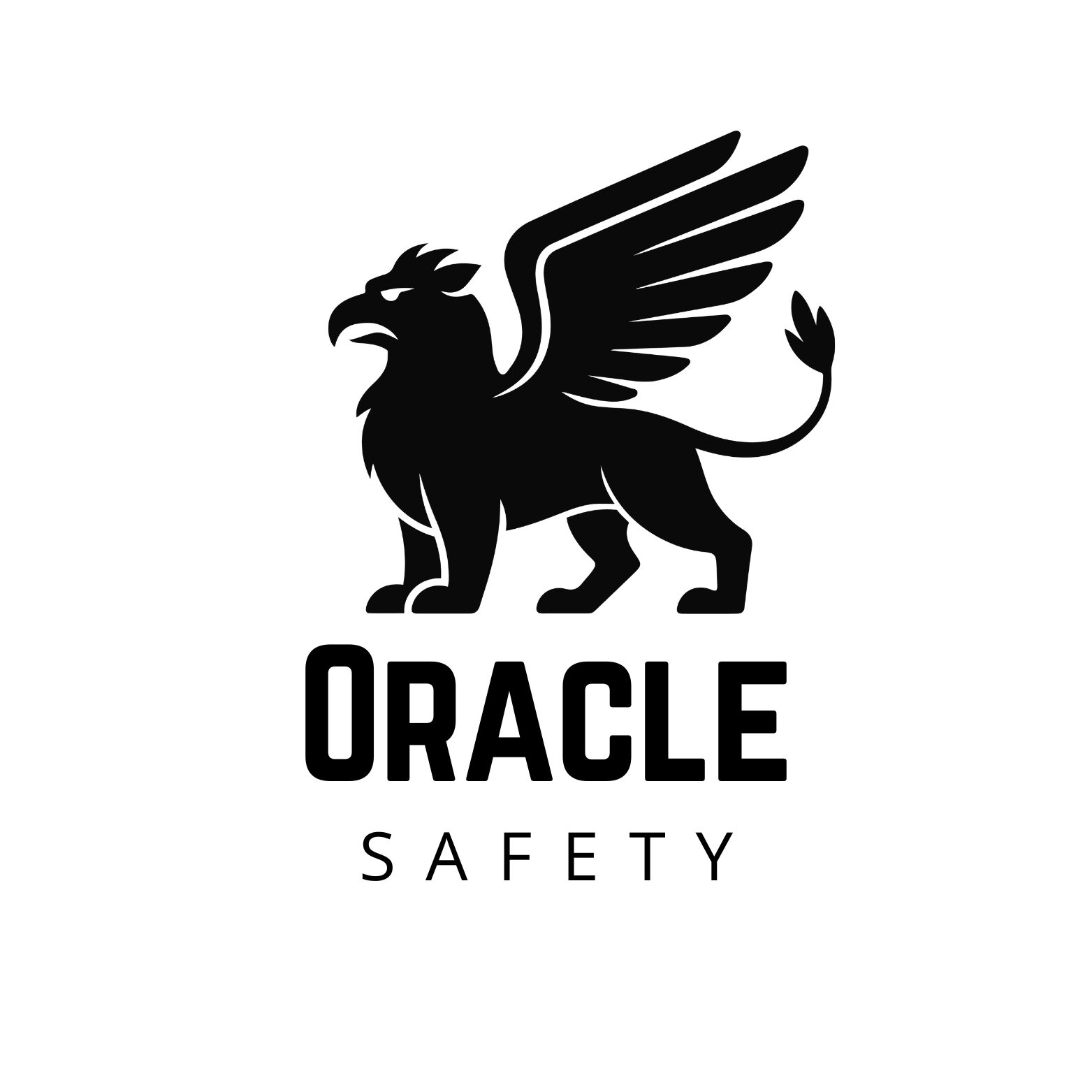 Writer: Orakul Safety