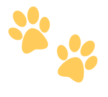 paw prints