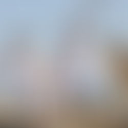 How to Plan the Perfect Dog-Friendly Holiday