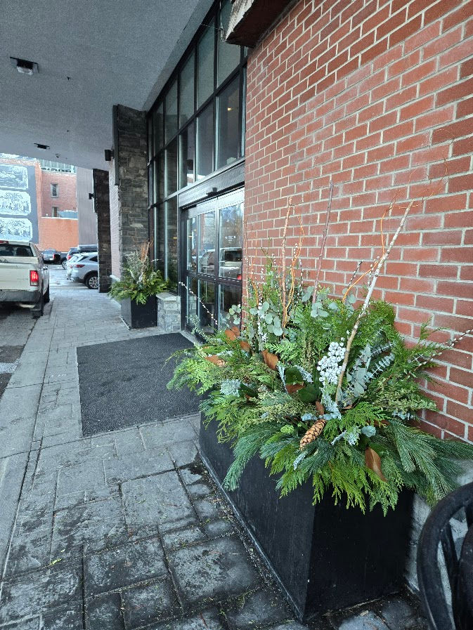 Hotel winter planters Banff