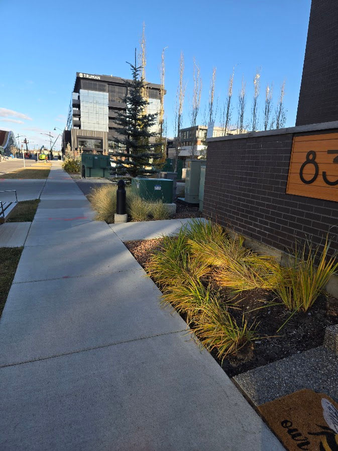 Commercial garden maintenance in Calgary showing landscaped beds maintained at a hotel or business p