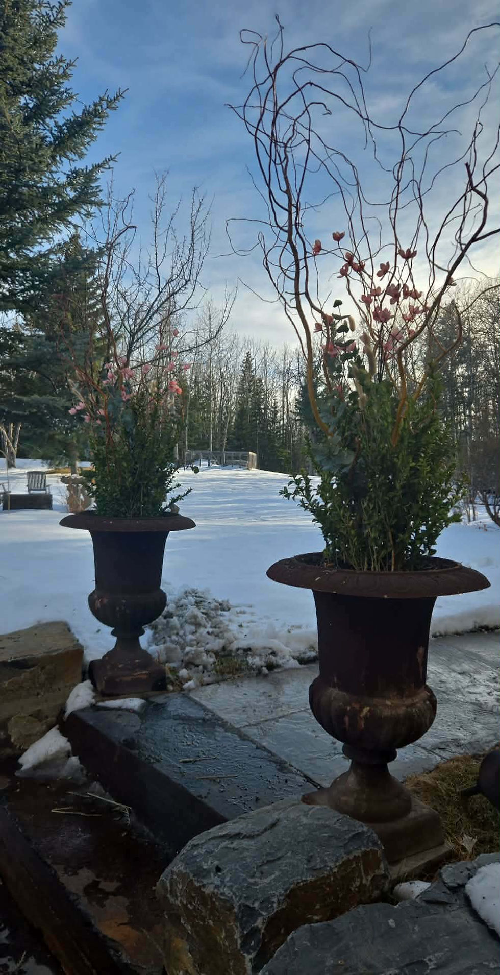 Luxury spring planters Calgary