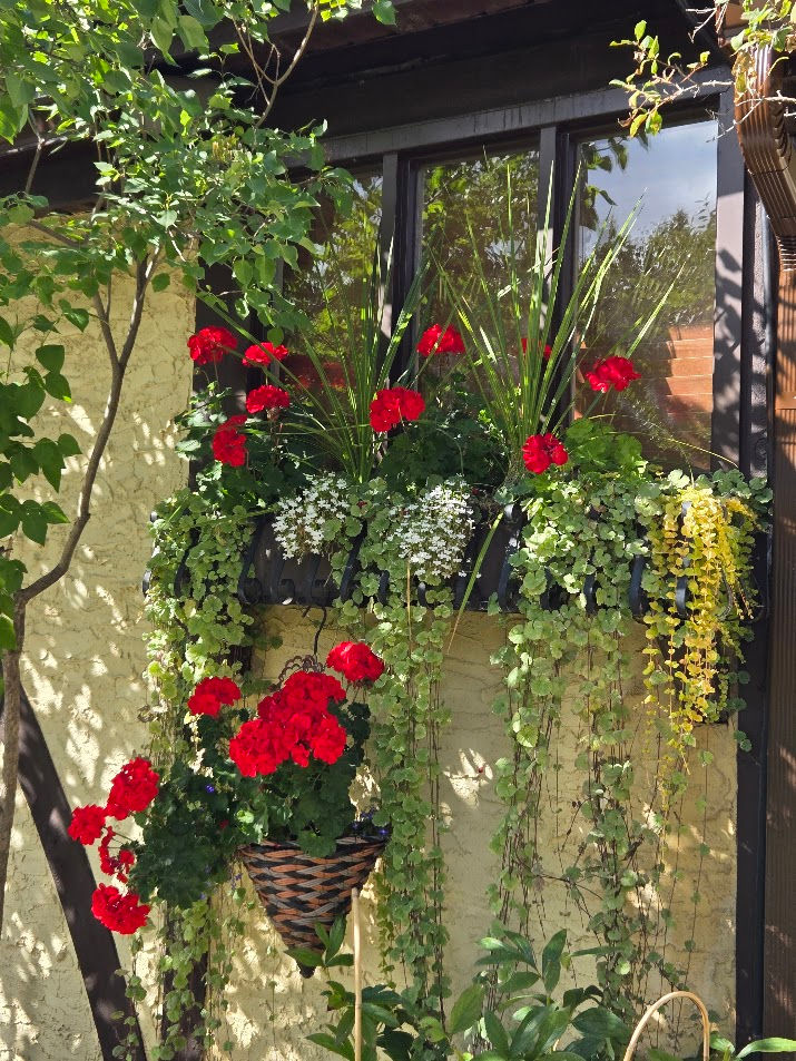 Summer planter in bears paw