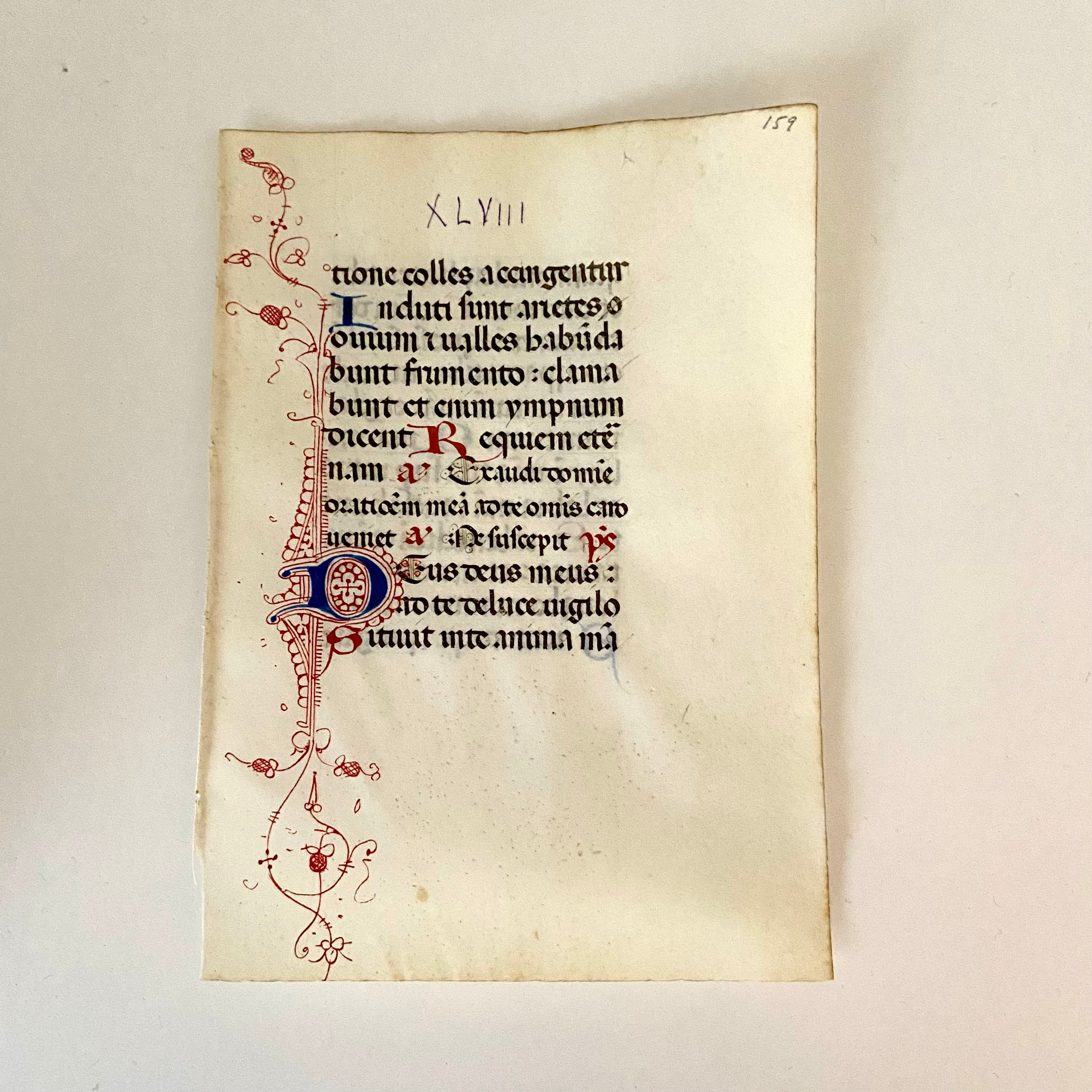 15世紀 イタリア 時祷書零葉