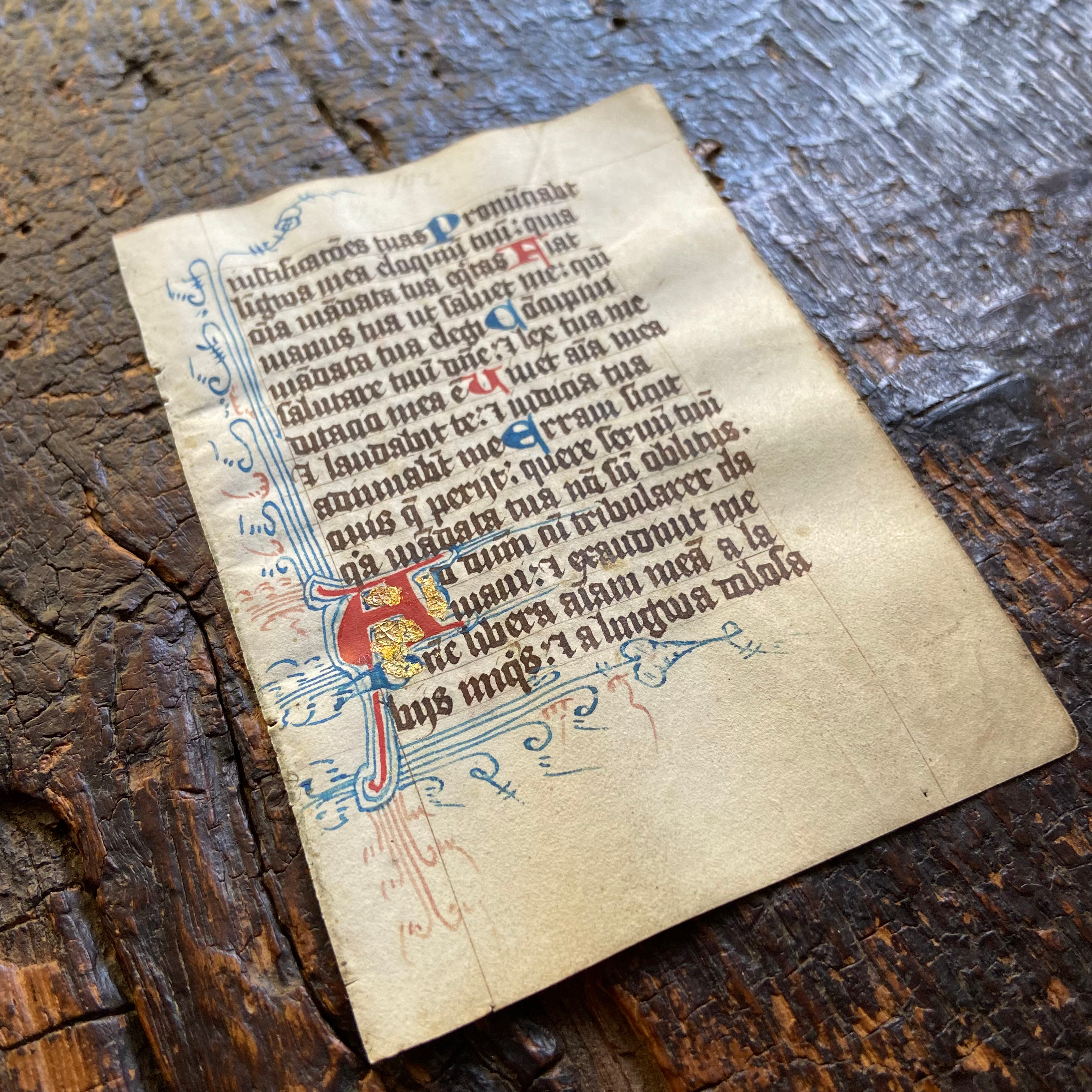 15世紀 ドイツ 装飾写本零葉