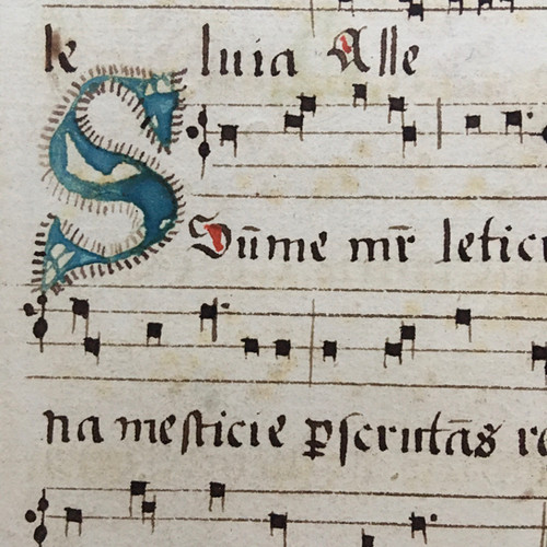 16世紀 オランダ ネウマ譜 | 草の竪琴