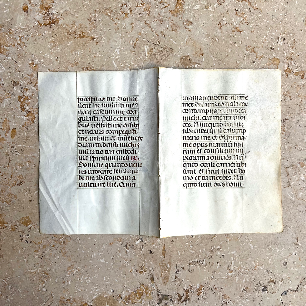 サムネイル： 15世紀 フランドル 時祷書零葉 b 見開き